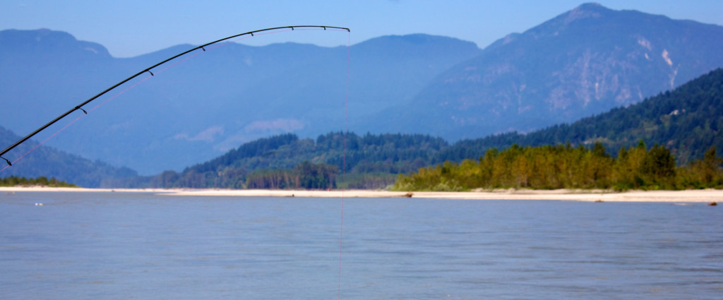 fishing pole hanging over a river with mountains in background