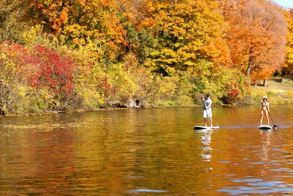 a man and woman stand up paddleboarding in a river in the fall