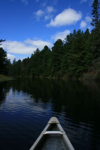 A beautiful paddle in Algonquin Park