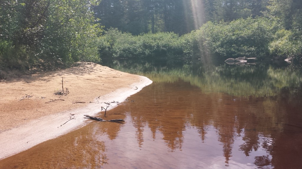 riverside beach on the Oswegatchie with sunlight filtering through