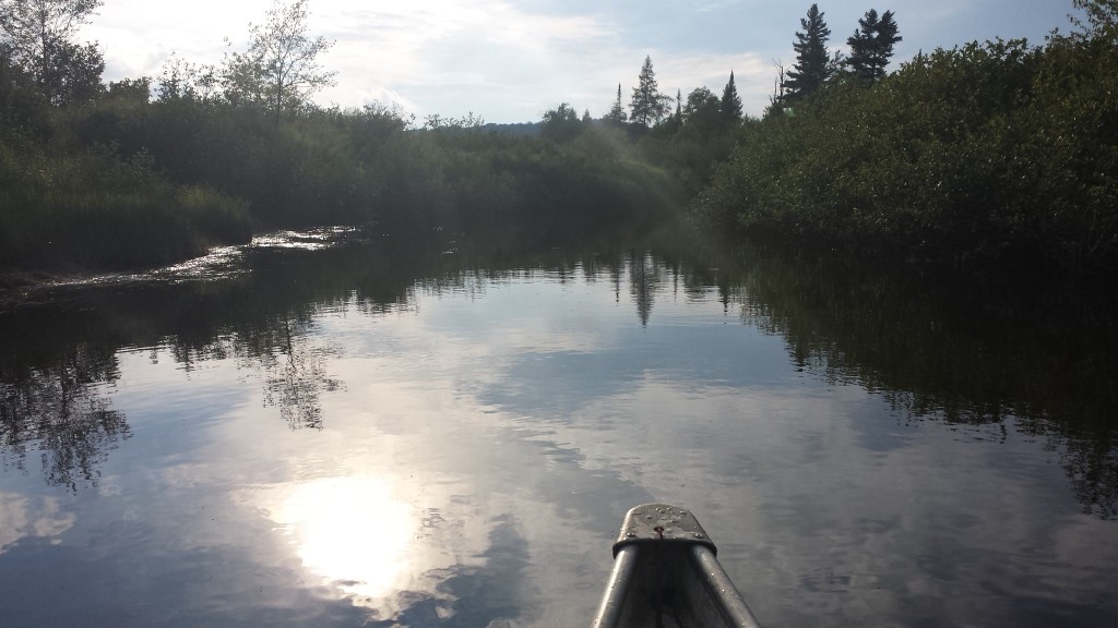 Oswegatchie river with tip of canoe in frame