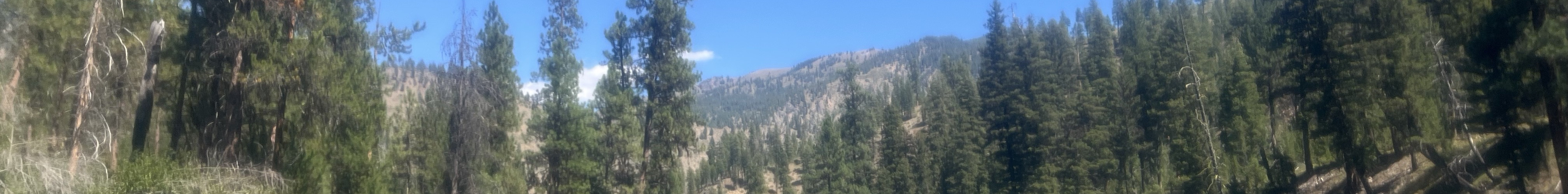 Scenic view of the Middle Fork of the Salmon River flowing through Idaho's wilderness.